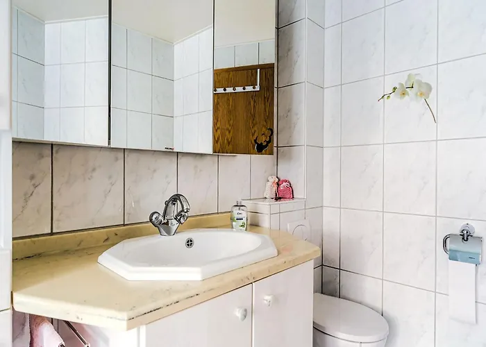 In Der Naehe Des Brockengipfels *